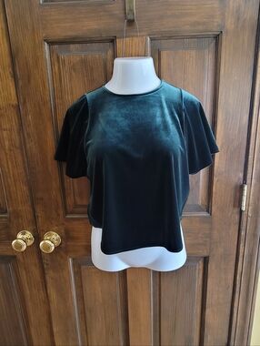Madewell Sz XXS Forest Green Velvet Short Sleeve Top
